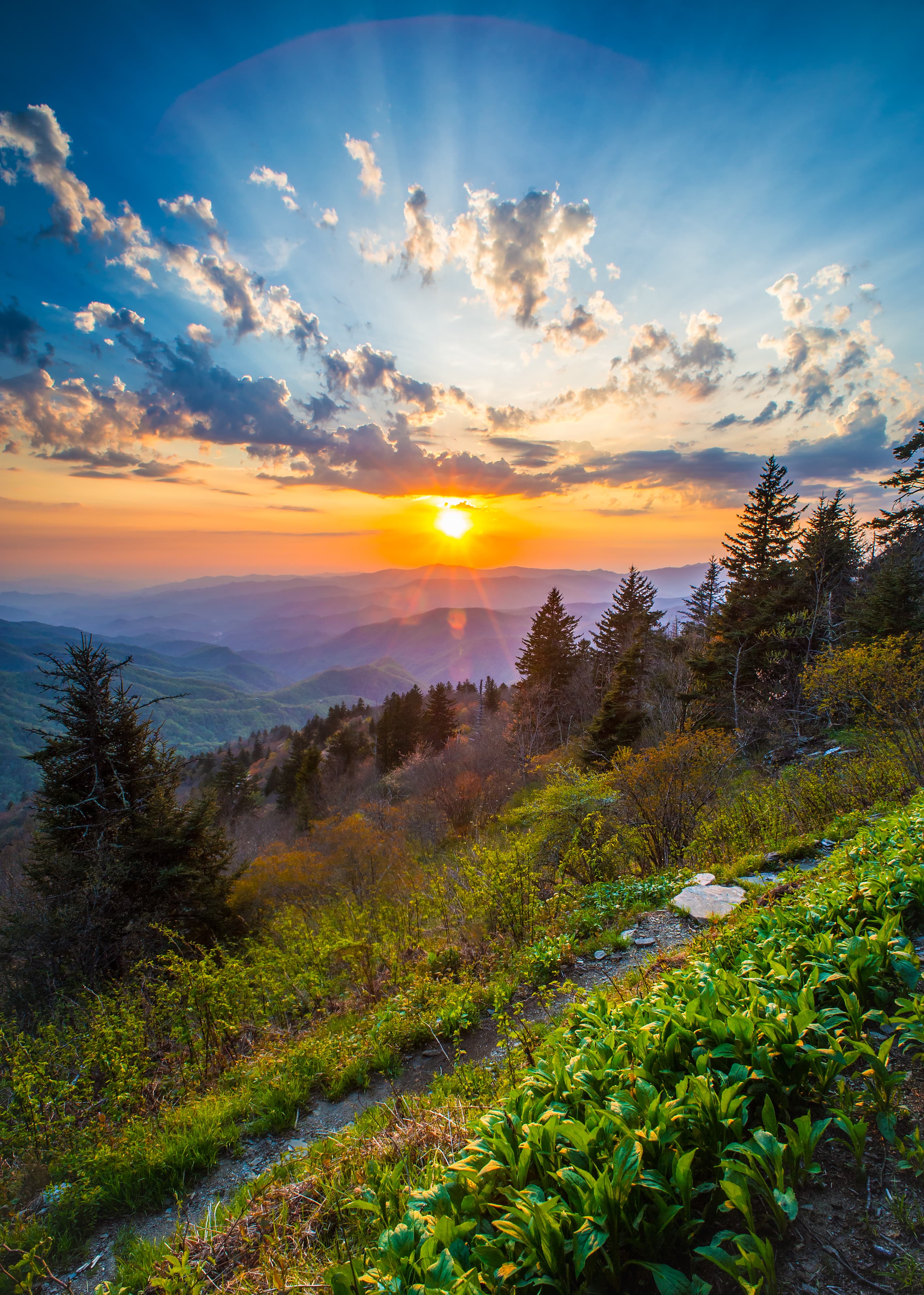 Blue Ridge mountain landscape representing growth and opportunity